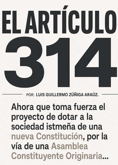 El artículo 314 por Luis Guillermo Zúñiga Araúz.
